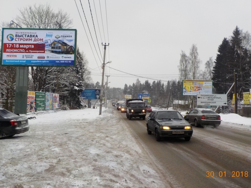 koltushskoe koltushskoe